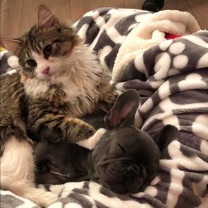 Meet your Posher, Caroline